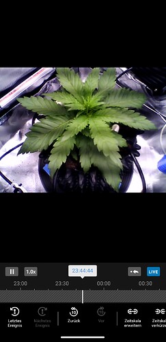 Growreport Bild 5