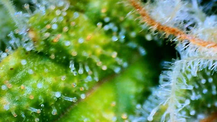 Growreport Bild 12
