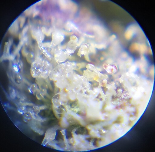Growreport Bild 9