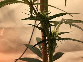 Growreport Bild 10