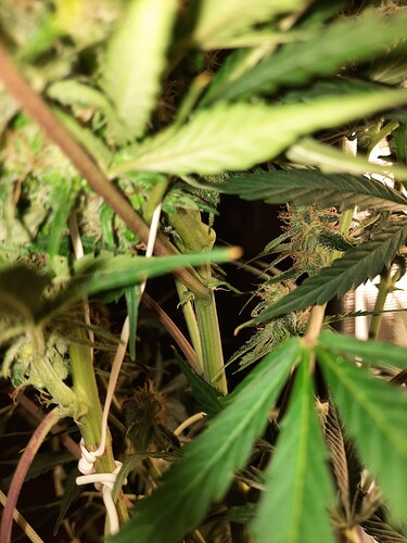 Growreport Bild 20