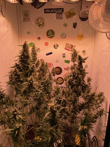 Growreport Bild 5