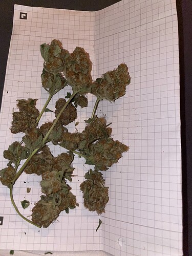 Growreport Bild 2