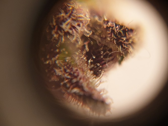 Growreport Bild 18