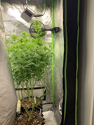 Growreport Bild 1