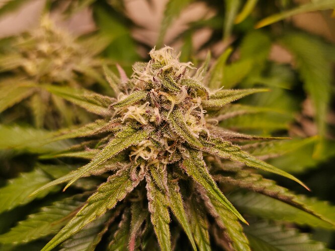 Growreport Bild 14