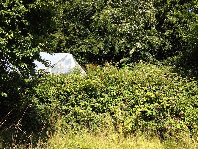 070_SiebterSiebter_21