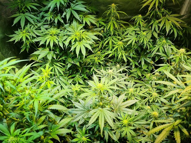 Growreport Bild 10