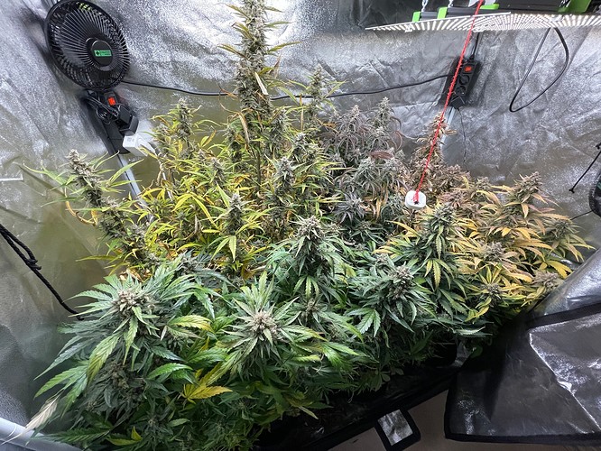 Growreport Bild 1