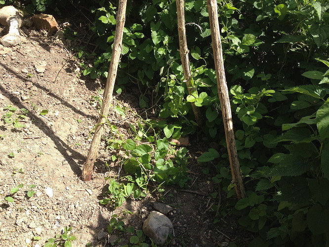 Growreport Bild 14