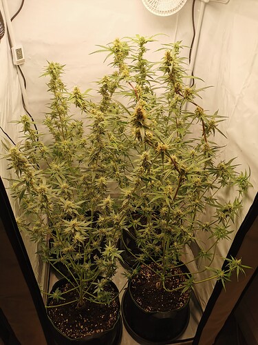 Growreport Bild 21