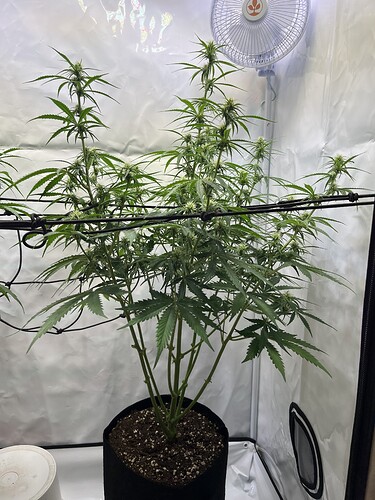 Growreport Bild 7