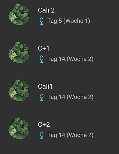 Screenshot_20220322-184105_Jane