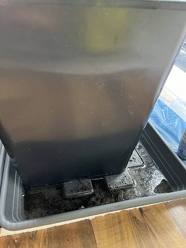 Growreport Bild 6