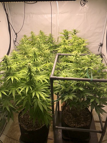 Growreport Bild 4