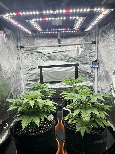 Growreport Bild 8
