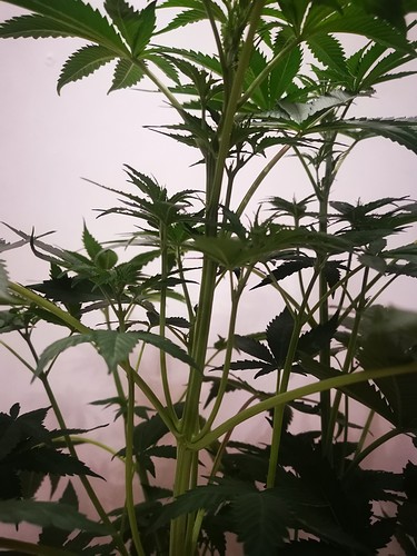 Growreport Bild 14