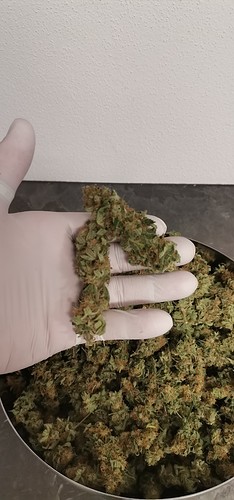 Growreport Bild 15