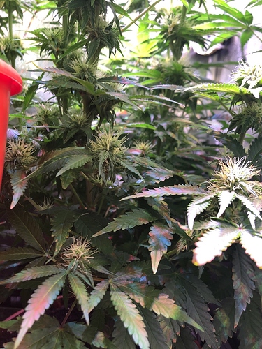 Growreport Bild 26