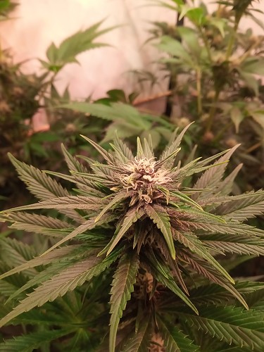 Growreport Bild 22