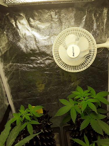 Growreport Bild 12