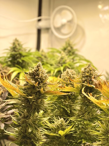 Growreport Bild 11