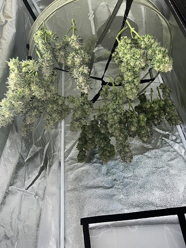 Growreport Bild 20