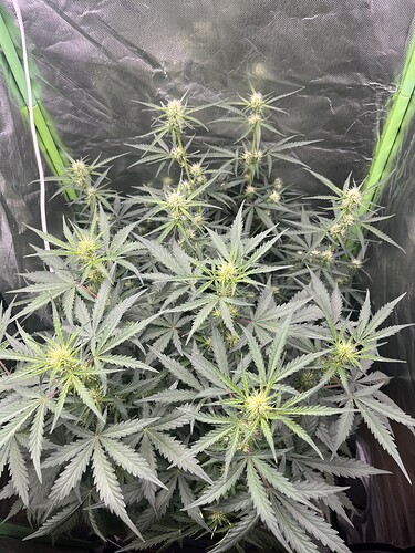Growreport Bild 10