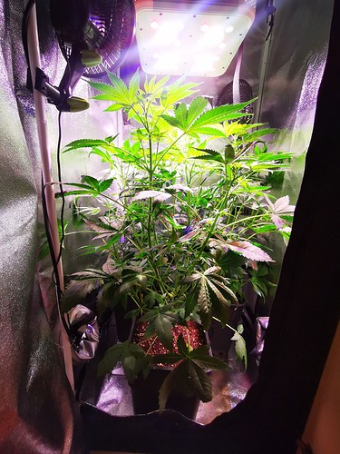 Growreport Bild 8