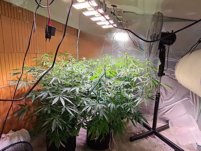 Growreport Bild 7