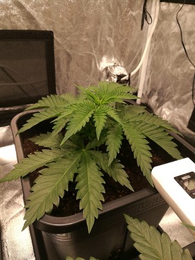 Growreport Bild 18