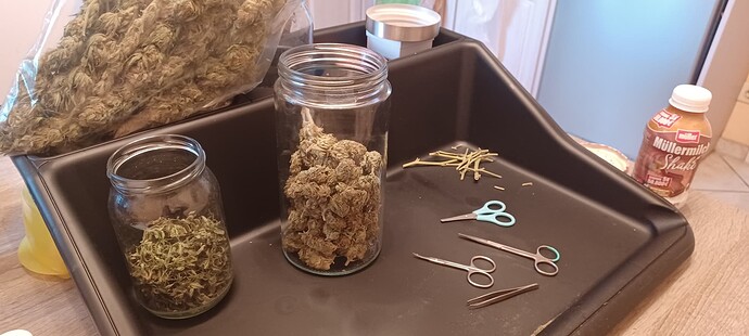 Growreport Bild 3