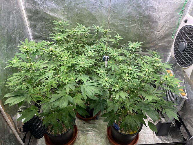 Growreport Bild 4