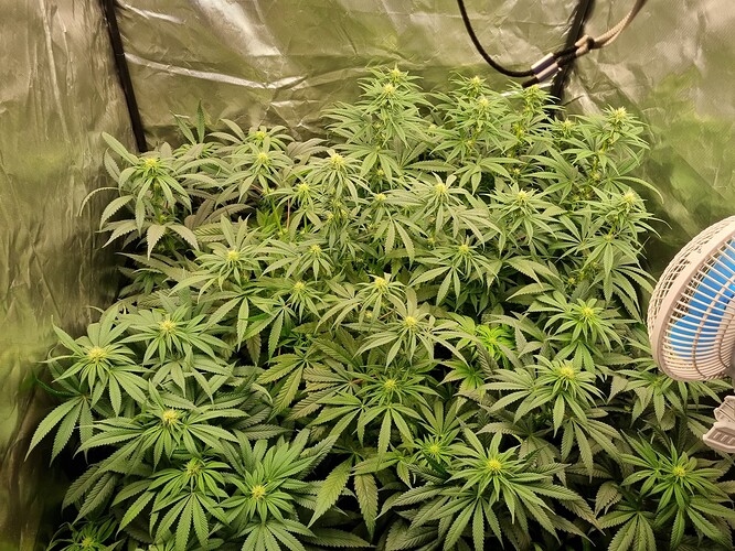Growreport Bild 12
