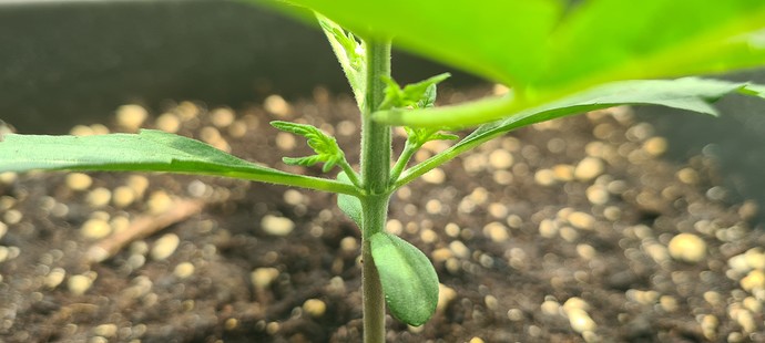 Growreport Bild 10