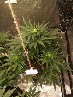 Growreport Bild 10