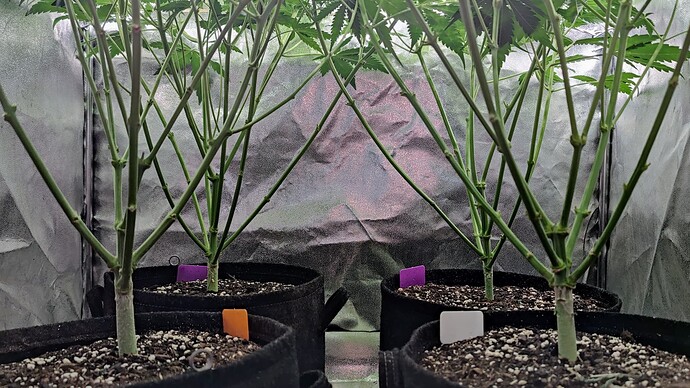 Growreport Bild 8