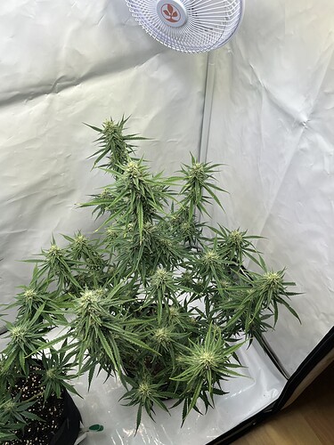 Growreport Bild 26