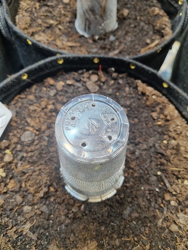 Growreport Bild 19