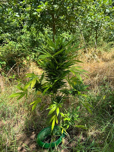 Growreport Bild 12