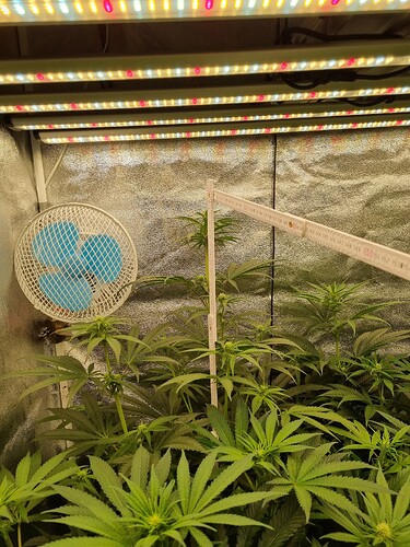 Growreport Bild 5