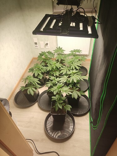 Growreport Bild 10