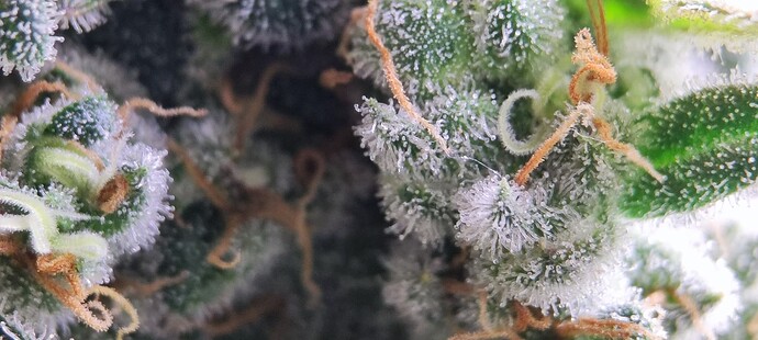 Growreport Bild 23