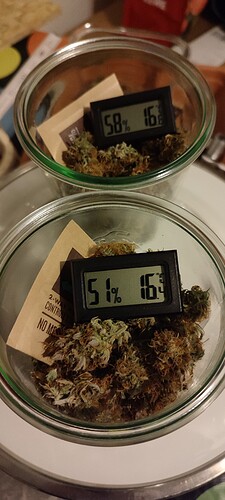 Growreport Bild 18