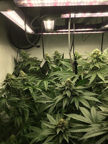 Growreport Bild 2