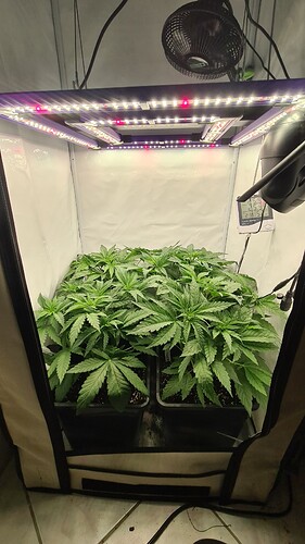 Growreport Bild 5