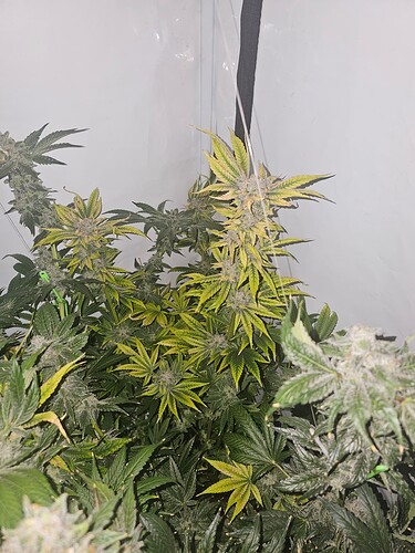 Growreport Bild 8