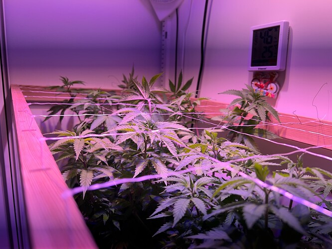 Growreport Bild 4