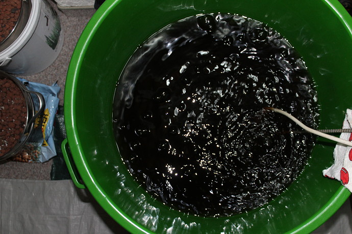 Growreport Bild 11
