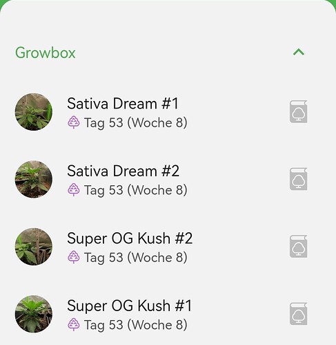 Growreport Bild 1